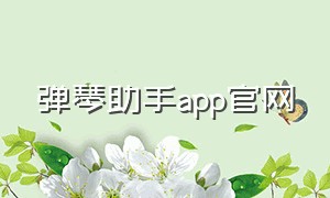 弹琴助手app官网