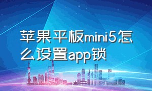 苹果平板mini5怎么设置app锁