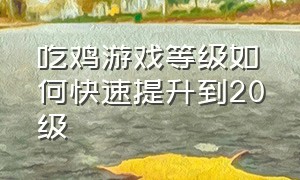 吃鸡游戏等级如何快速提升到20级