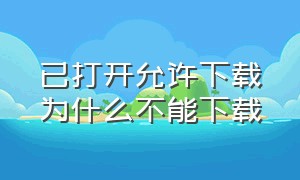 已打开允许下载为什么不能下载