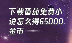 下载番茄免费小说怎么得65000金币