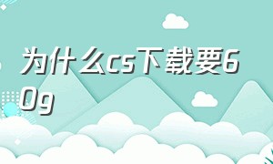 为什么cs下载要60g