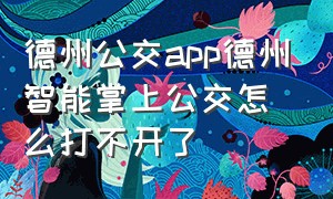 德州公交app德州智能掌上公交怎么打不开了