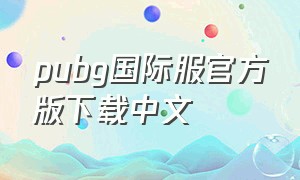 pubg国际服官方版下载中文