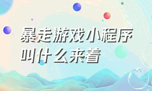 暴走游戏小程序叫什么来着