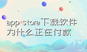 app store下载软件为什么正在付款