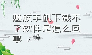 魅族手机下载不了软件是怎么回事