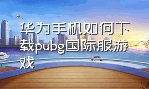 华为手机如何下载pubg国际服游戏