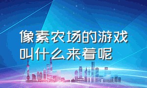 像素农场的游戏叫什么来着呢