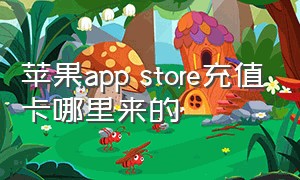 苹果app store充值卡哪里来的