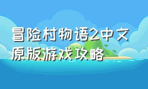 冒险村物语2中文原版游戏攻略