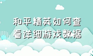 和平精英如何查看详细游戏数据