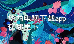 华为电视下载app在哪里下