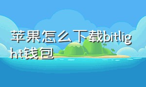 苹果怎么下载bitlight钱包