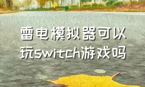 雷电模拟器可以玩switch游戏吗