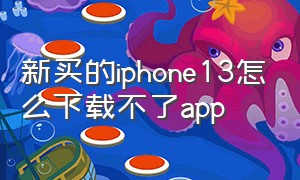 新买的iphone13怎么下载不了app