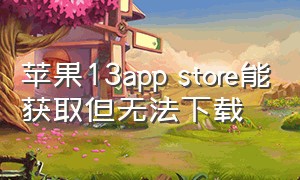苹果13app store能获取但无法下载