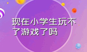 现在小学生玩不了游戏了吗