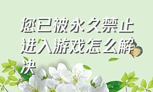 您已被永久禁止进入游戏怎么解决