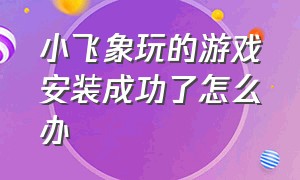 小飞象玩的游戏安装成功了怎么办