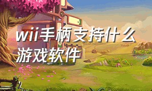 wii手柄支持什么游戏软件