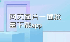 网页图片一键批量下载app