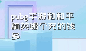 pubg手游和和平精英哪个充的钱多