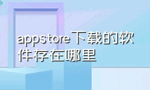 appstore下载的软件存在哪里