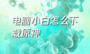 电脑小白怎么下载原神