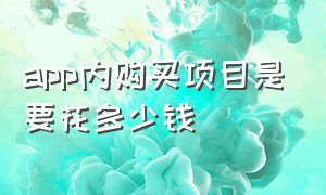 app内购买项目是要花多少钱