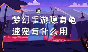 梦幻手游隐身龟速宠有什么用