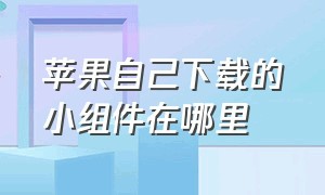 苹果自己下载的小组件在哪里