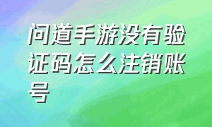 问道手游没有验证码怎么注销账号