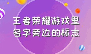 王者荣耀游戏里名字旁边的标志