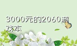 3000元的2060游戏本