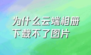 为什么云端相册下载不了图片