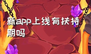 新app上线有扶持期吗