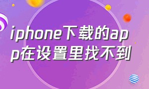 iphone下载的app在设置里找不到