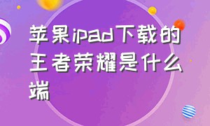 苹果ipad下载的王者荣耀是什么端
