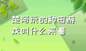 楚河玩的种田游戏叫什么来着