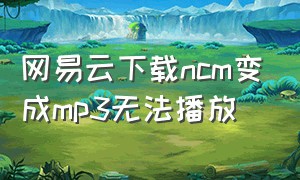 网易云下载ncm变成mp3无法播放