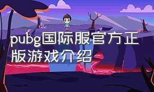 pubg国际服官方正版游戏介绍