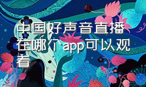 中国好声音直播在哪个app可以观看
