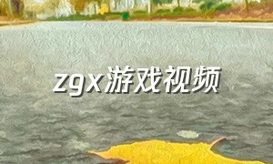 zgx游戏视频