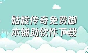 骷髅传奇免费脚本辅助软件下载