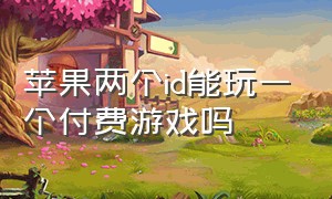 苹果两个id能玩一个付费游戏吗