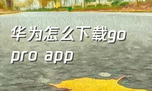 华为怎么下载go pro app