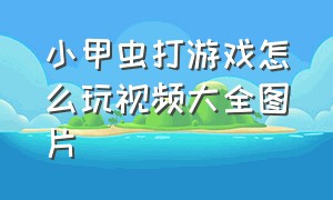 小甲虫打游戏怎么玩视频大全图片