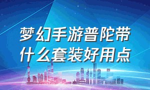 梦幻手游普陀带什么套装好用点