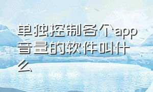 单独控制各个app音量的软件叫什么